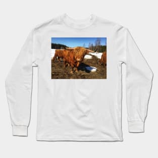 Scottish Highland Cattle Bull 1735 Long Sleeve T-Shirt